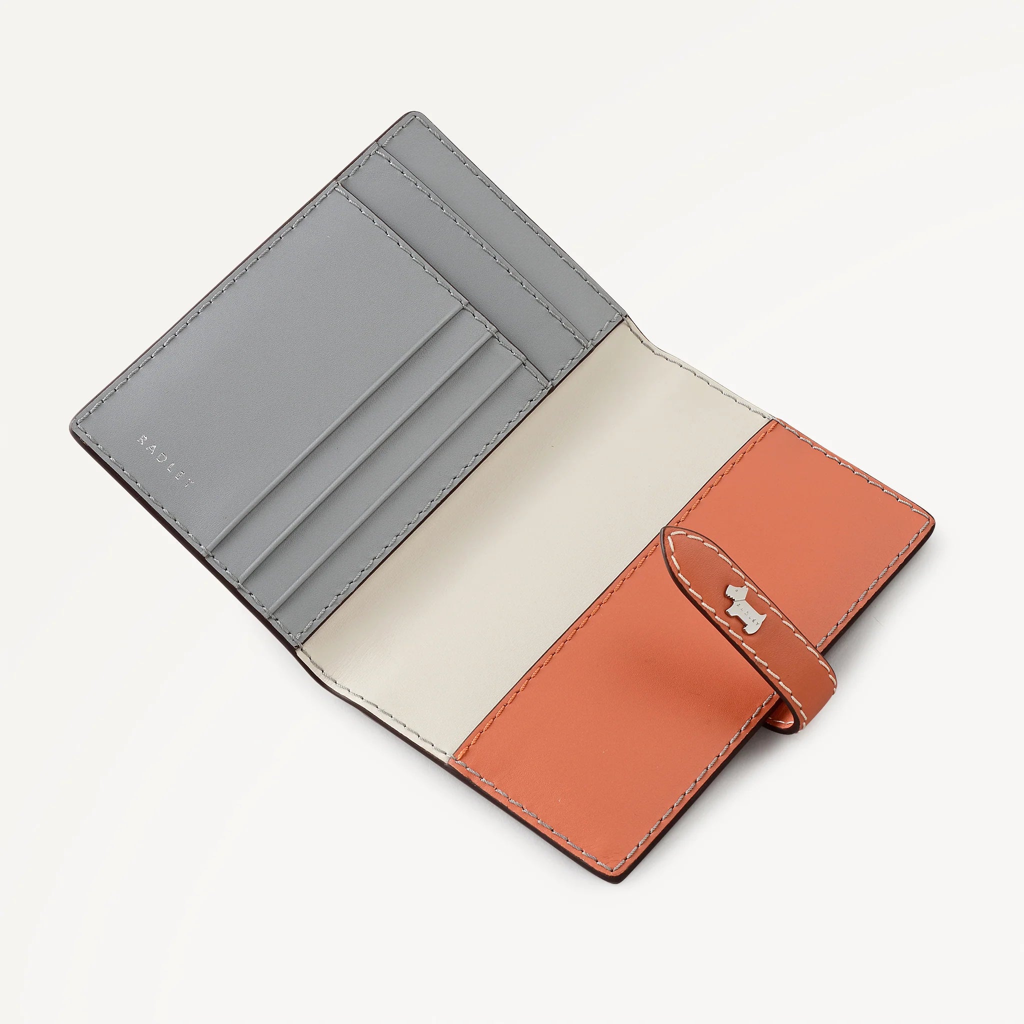 Radley Willis Street - Colourblock Passport Cover (NWT)